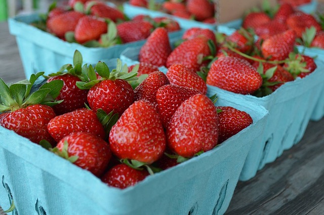 Fraises gariguette